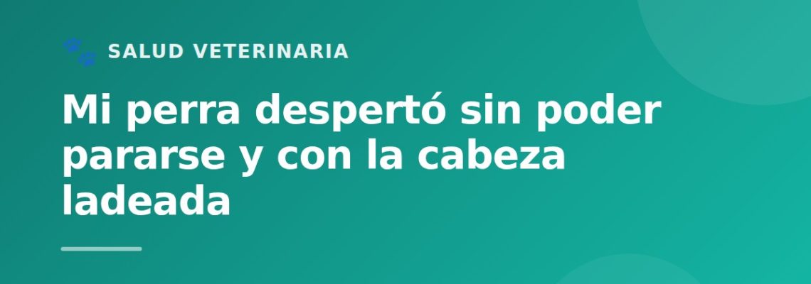 Mi perra despertó sin poder pararse y con la cabeza ladeada: la historia de un síndrome vestibular