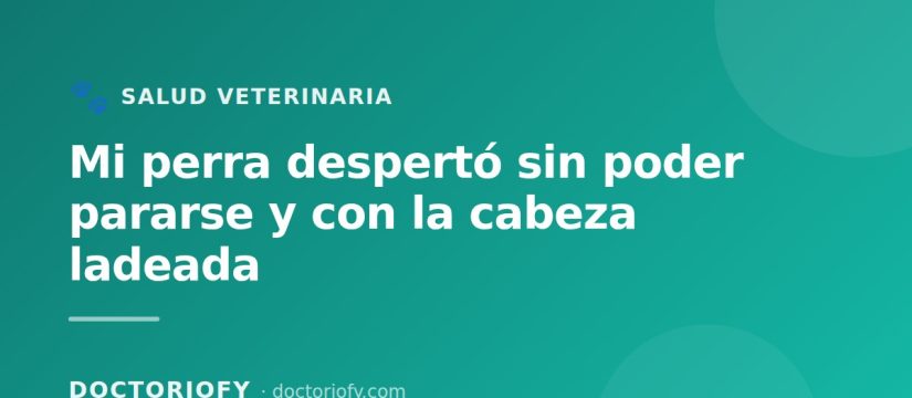 Mi perra desperto sin poder pararse y con la cabeza ladeada: la historia de un sindrome vestibular